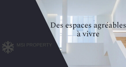 MSI Property - promotion immobilière et recherche foncière